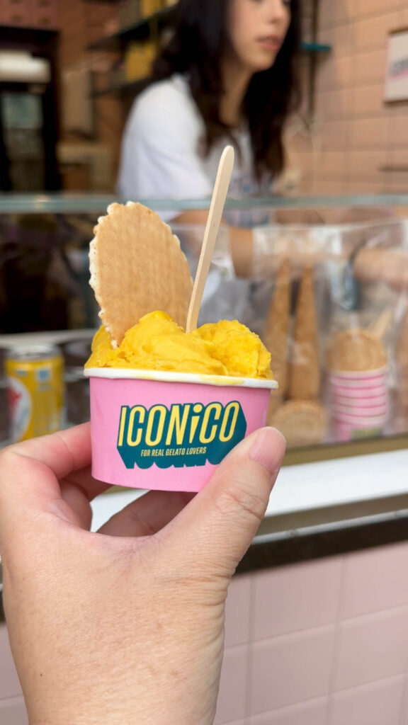 Cup of Iconico gelato