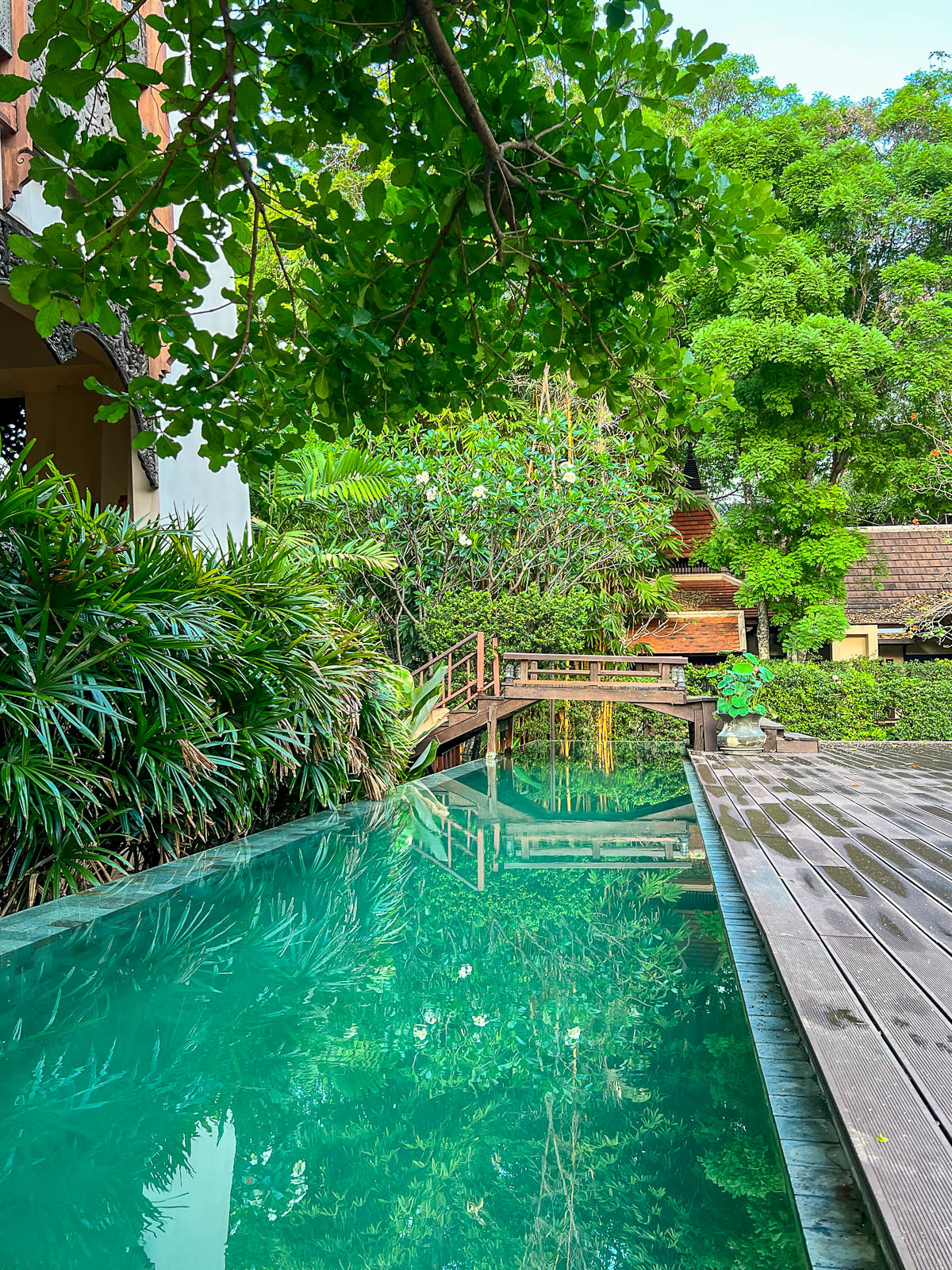A pool surrounded by tropical plants in Thailand