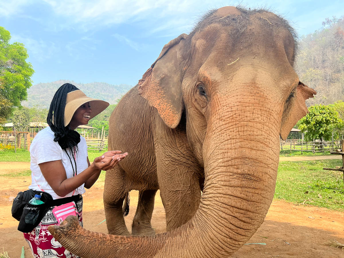 A traveler feeding an elephant by hand in Thailand