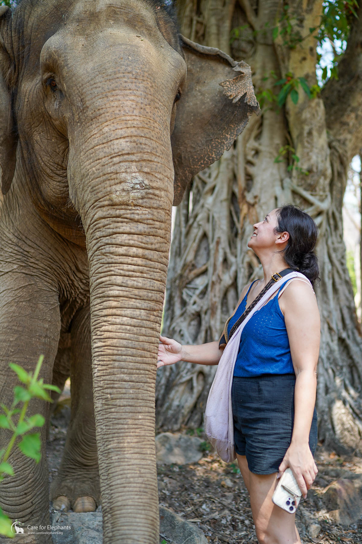 A traveler standing beside an elephant under a tree in Thailand