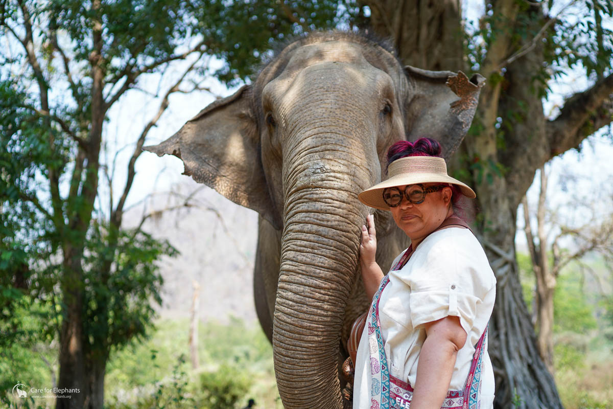 A traveler in a sun hat petting an elephant in Thailand