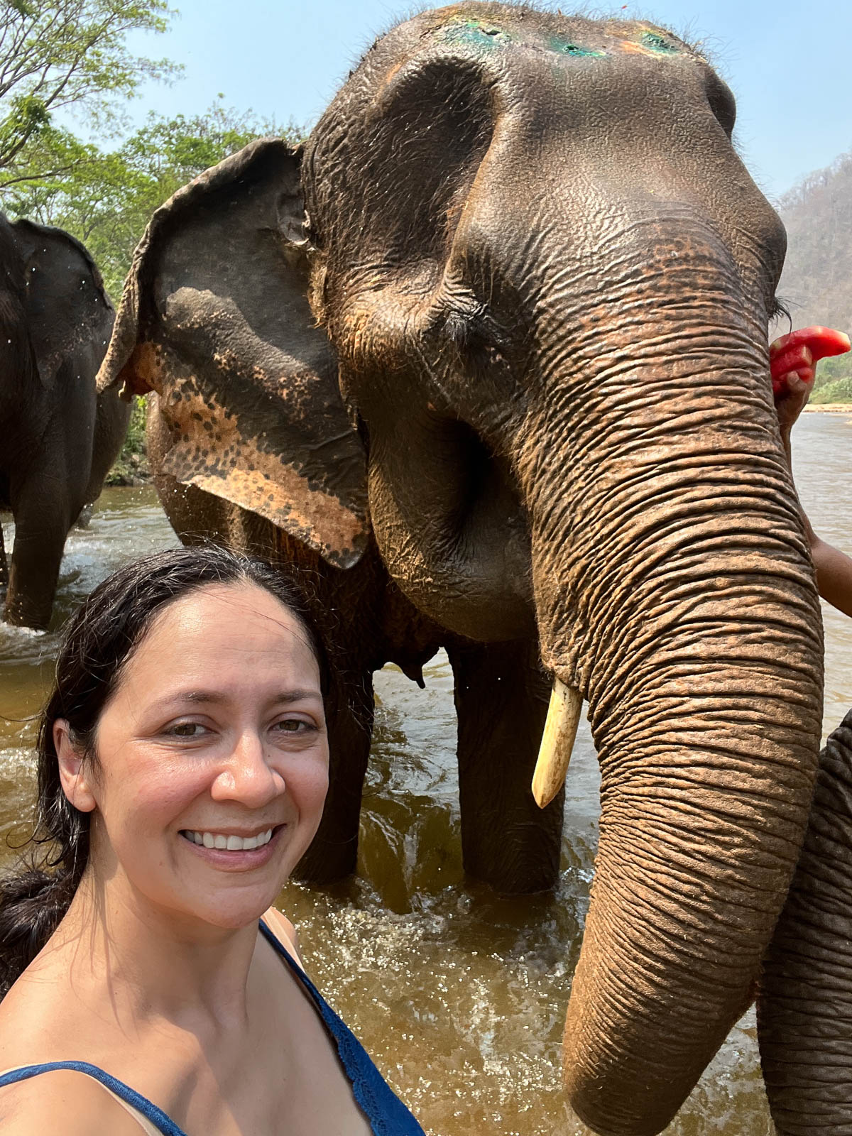 A traveler smiling in a selfie next to an elephant in Thailand