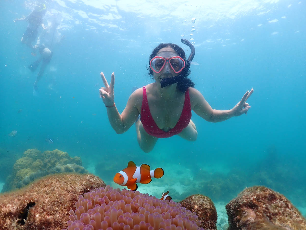 A traveler snorkeling above coral and tropical fish in Thailand