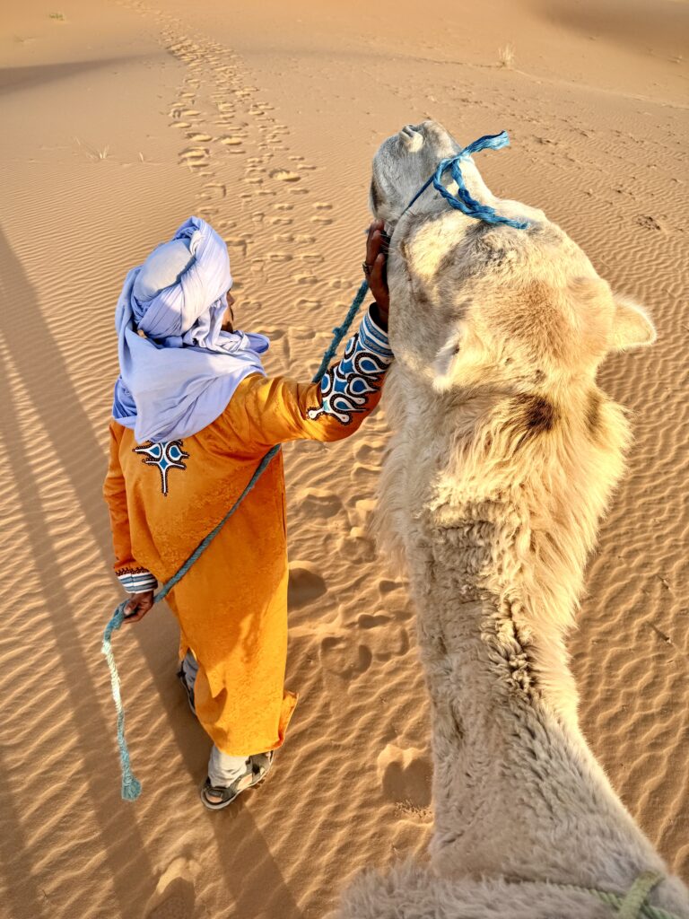 berber guide with camel