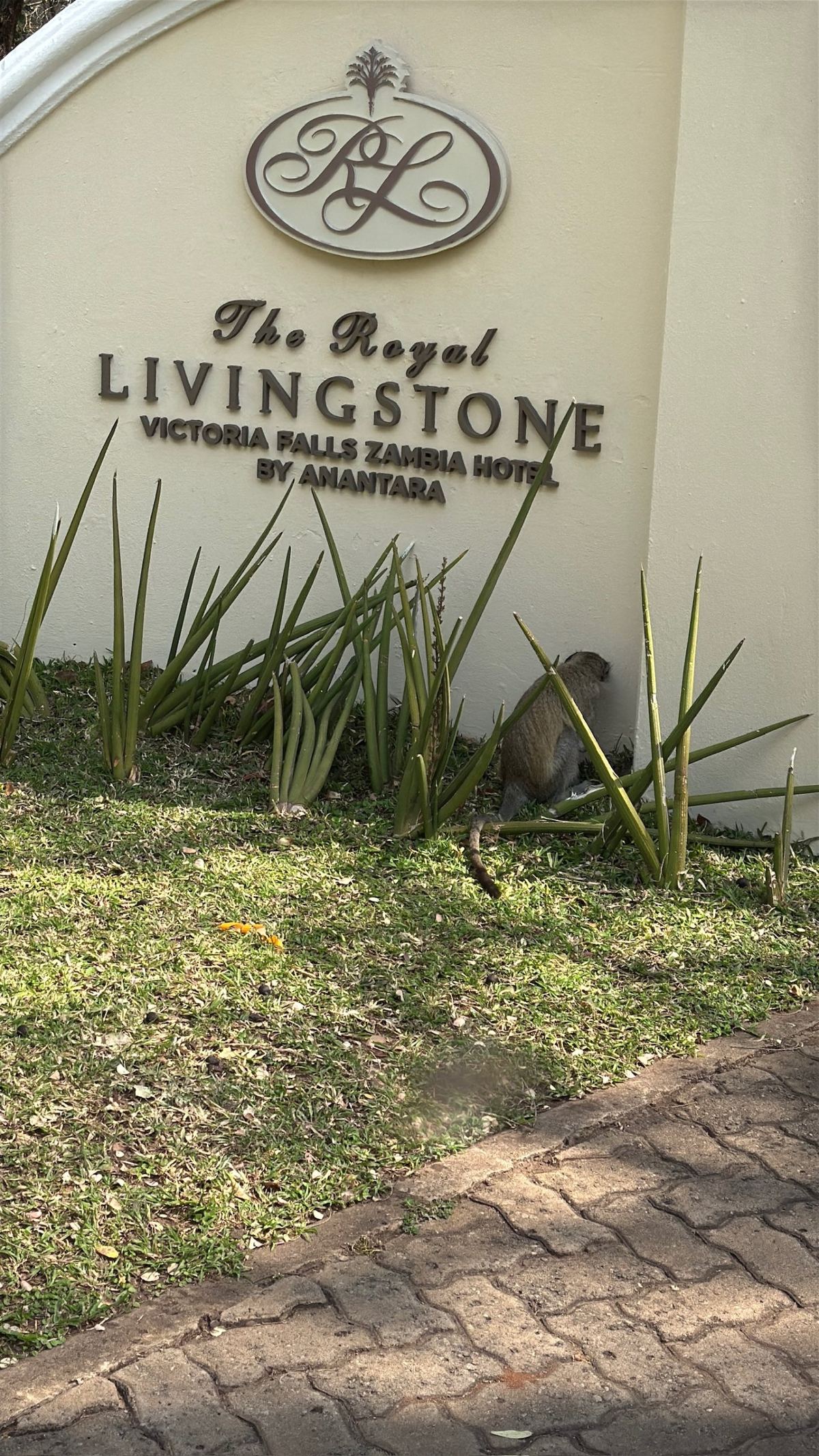The Royal Livingstone hotel sign at the entrance