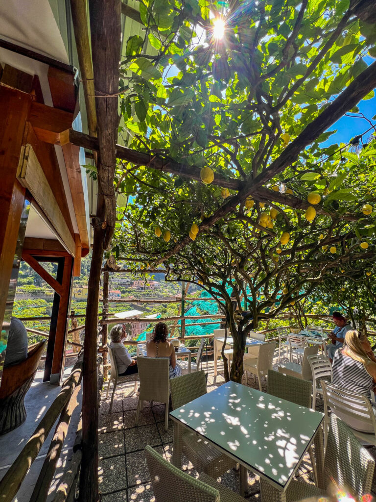 Tables set under a pergola of lemon trees at the Amalfi Lemon Experience.