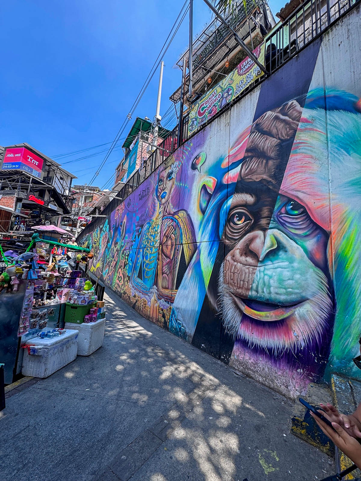 Giant monkey mural along a street in Comuna 13