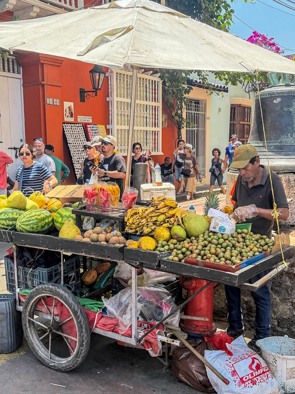 Street vendor's cart piled with fresh tropical fruit