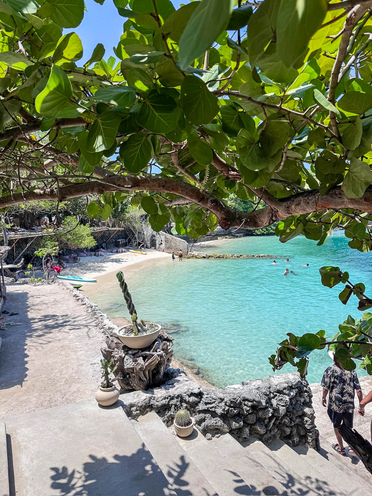 Small beach cove with turquoise water seen through the trees on one of the Rosario Islands