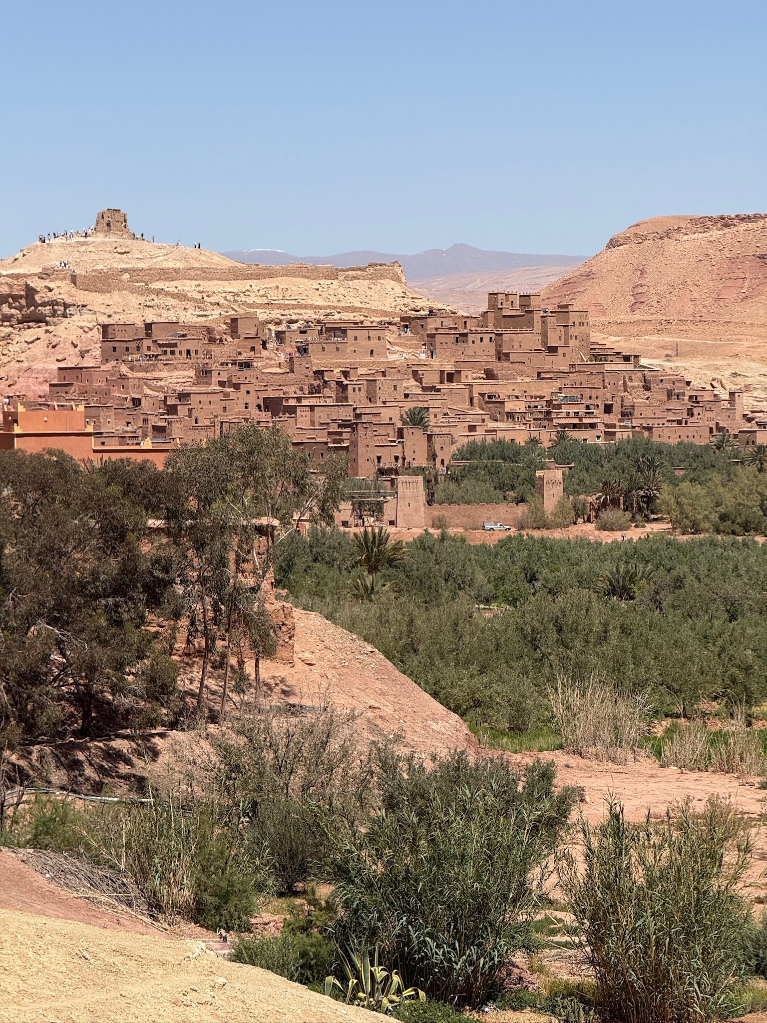 The earthen kasbah of Ait Benhaddou rising above a green palm grove