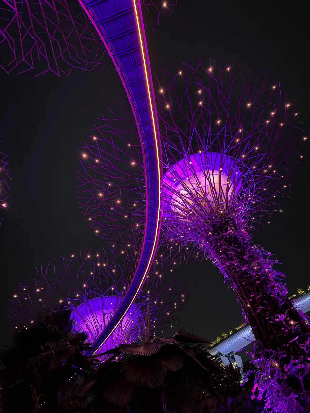 Close up of a glowing purple Supertree canopy twinkling with lights during Garden Rhapsody