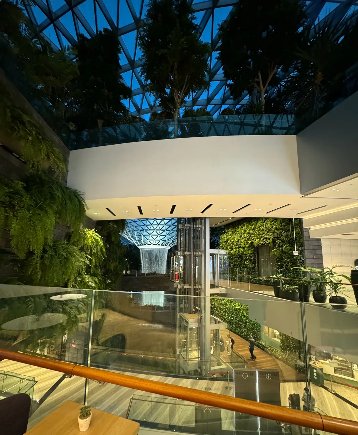 View across the indoor gardens and glass dome of Jewel Changi Airport toward the Rain Vortex waterfall