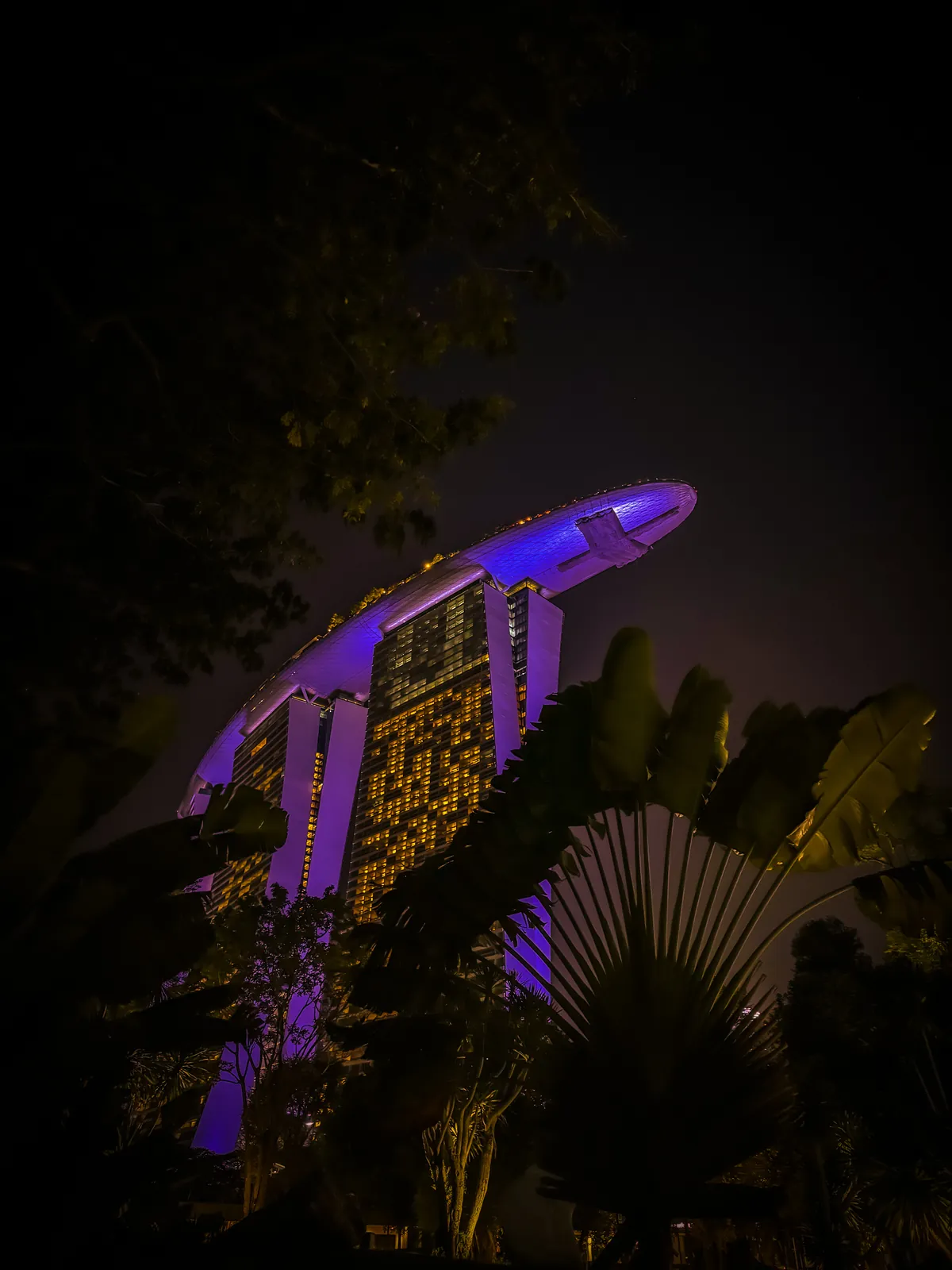 Marina Bay Sands lit up at night seen through palm trees from Gardens by the Bay